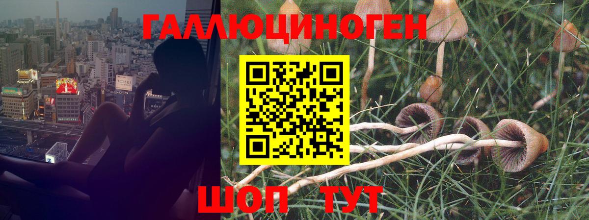 Галлюциногенные грибы прущие грибы  Галлюциногенные грибы мухоморы  Вход с VPN  Куйбышев 